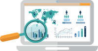 Novigo Data Visualization